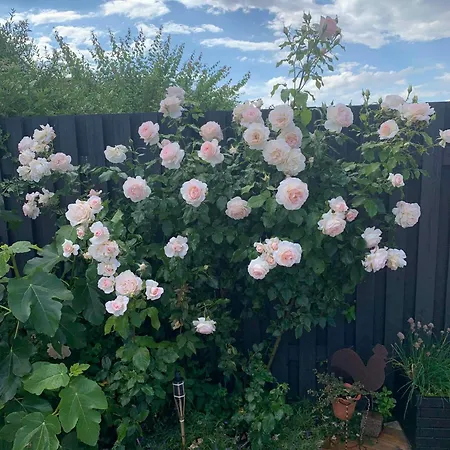 Cozy Near Hasmark Otterup