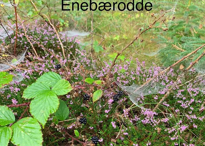 Cozy Near Hasmark * Otterup